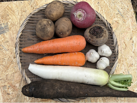 【農薬・化学肥料不使用】MOA自然農法で育った秋冬のおまかせお野菜セット　Mサイズ(2〜3人前)
