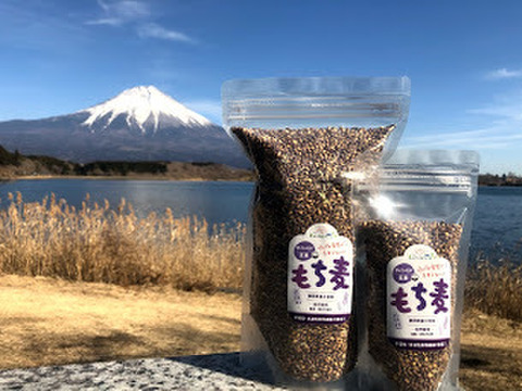 自然栽培 もち麦(玄麦・ダイシモチ) 10kg 農薬肥料不使用のスーパーフード!