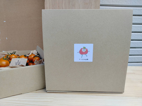 βカロテン豊富！オレンジパルチェ1kg