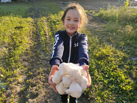 ハウス栽培で先取り！青森県産生にんにく１Kg