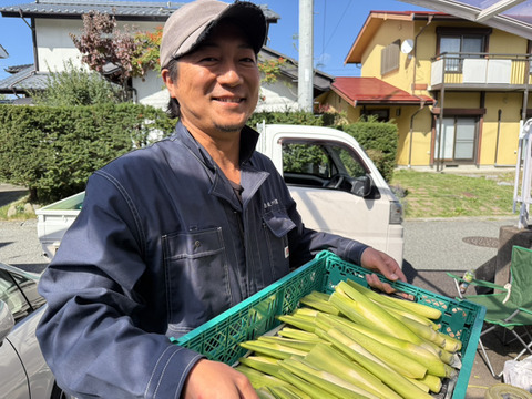 【完全自然栽培】のマコモダケ1キロ