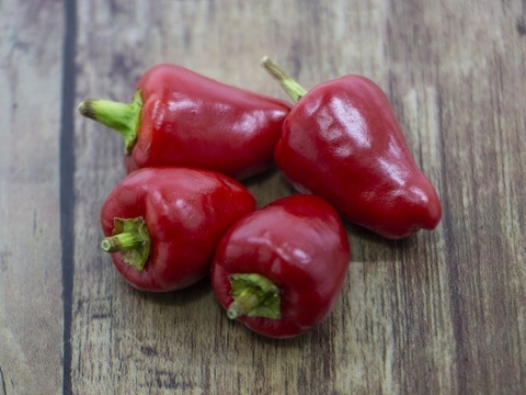 ＜うんまい！＞生とうがらし【１ｋｇ】