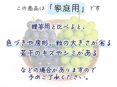 花笑み農園　岡山のBKシードレス＆シャインマスカット食べ比べ　1.8kg（3～4房）【9/21～順次発送】BS-2家