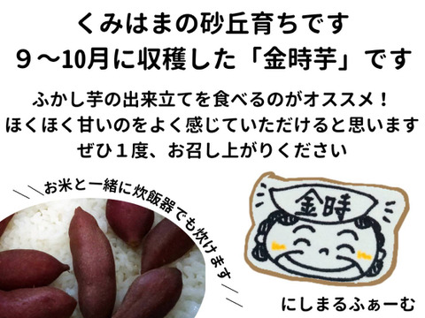 【訳あり】貯蔵期間2ヵ月ホクホク甘い！砂丘のさつまいも(10kg)