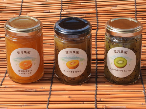 駿河あまなつマーマレード（瓶詰品、内容量１４０ｇ）