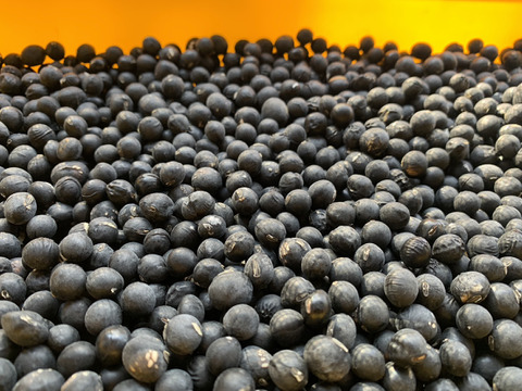 【自然栽培】丹波黒大豆Ｂ品 800g★農薬肥料不使用の兵庫県産黒豆 [令和７年産]