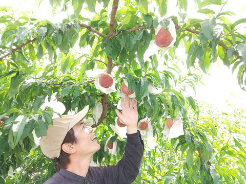 【贅沢な一杯】2本セット 100％桃しぼりジュース「しふく」桃の果汁だけで作った希少な桃ジュース