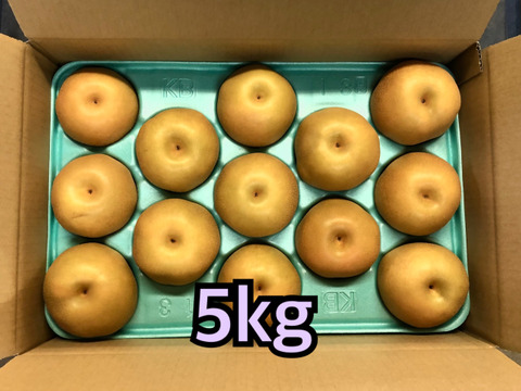 梨　豊水　良品  約5kg (10個〜13個)