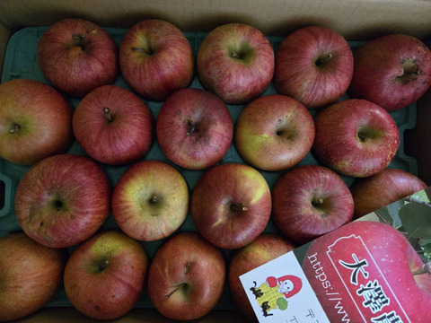 信州りんご🍎C品9キロ