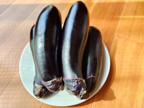 中長ナス【筑陽】2.5kg/箱（13本～17本）
