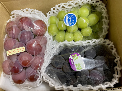 家庭用 シャインマスカット 約5kg 産地食べ比べ ぶどう・シャインマスカットの詰め合わせ・食べ比べセット