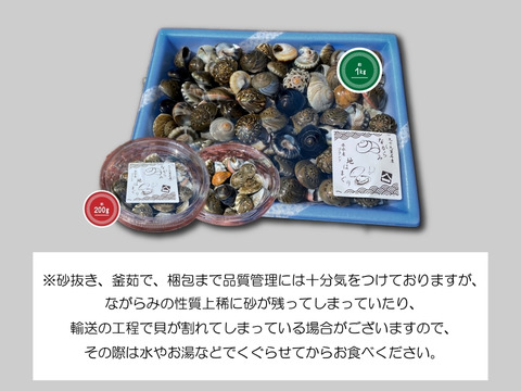 新物幻の貝！ 釜茹でながらみ1k【大サイズ】(ダンベイキサゴ)