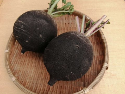黒丸大根 (４個入り)