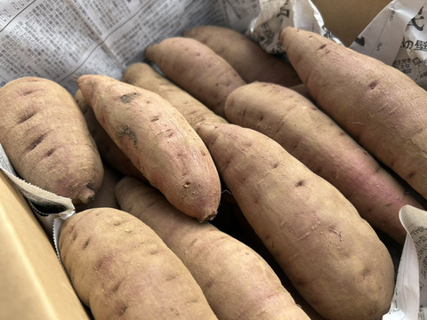 【ねっとり甘い】熟成有機さつまいも 紅はるか 2kg（訳あり・家庭用／農薬不使用）