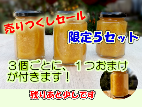 セール！　ゆずジャム　大瓶　/　３個で１個おまけ！　/　柚子　/　12個まで60サイズOK