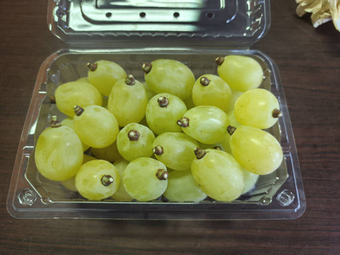 翠峰(すいほう)500g、ピオーネ500g粒粒親子セット(1kg)