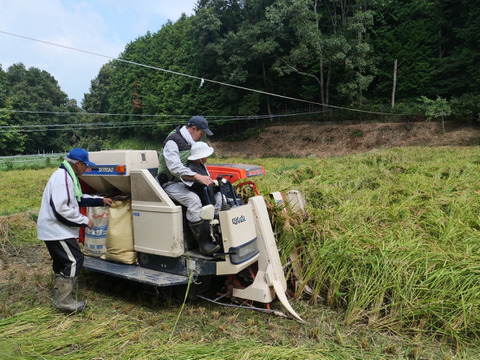 新米！2025年奈良県山添の『コシヒカリ』（玄米）10kg
