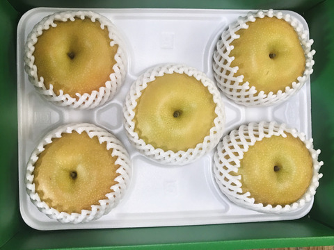 大豊作‼️300円引き【繊細なシャリ感とあふれる果汁‼️】PREMIUMあきづき梨3.0kg(特大5~7個)✨️ 上品な甘さ、酸味が少なく歯触りのいい梨🍐果汁たっぷり桃のような風味が特長