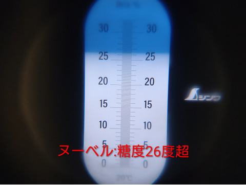【ヌーベルローズ3房/750g以上】