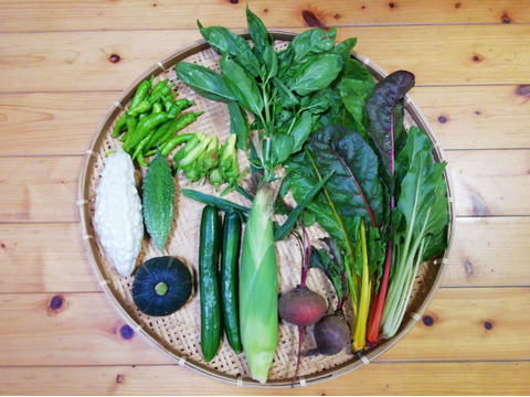 【農薬・化学肥料不使用】花オクラ入り野菜セット【６～８種類の野菜】【食べ方説明書付き】【金曜日クール便で発送】【あわせ買い可】【熨斗(のし)対応可】【８０サイズ箱】