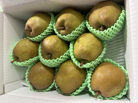 まるせい果樹園のラ･フランス　　3kg箱　玉数指定不可　nr1