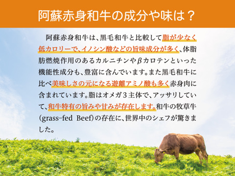【8000円福袋】阿蘇赤身和牛のすき焼きしゃぶしゃぶセット