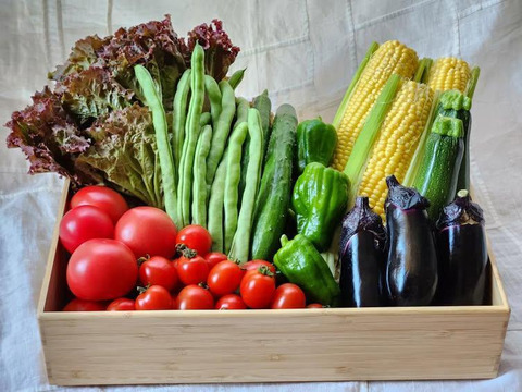 本日発送【中玉トマトたっぷり🍅】自然栽培の手渡したくなるお任せ野菜SET（Ｌサイズ）