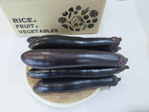 訳アリ品！ふわとろ長なす3kg