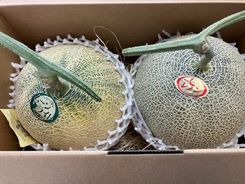 2種類の味わい！メロン レノン・ムーンライト 2玉化粧箱入り 1玉1.7kg以上