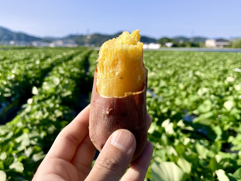 ねっとり食感と濃厚な甘さ！紅はるか冷凍焼き芋(訳あり)3kg