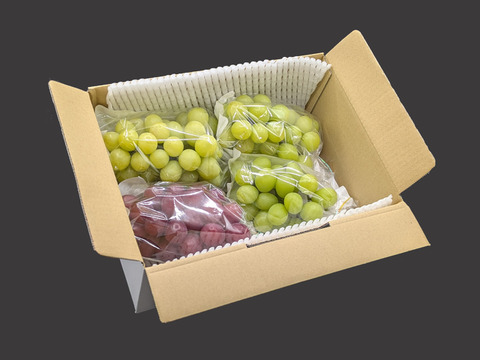 食べ比べシャインマスカット3～4房＋クイーンルージュ1房 合計約2kg　長野県認証/特別栽培同基準（信州の環境にやさしい農産物認証50）