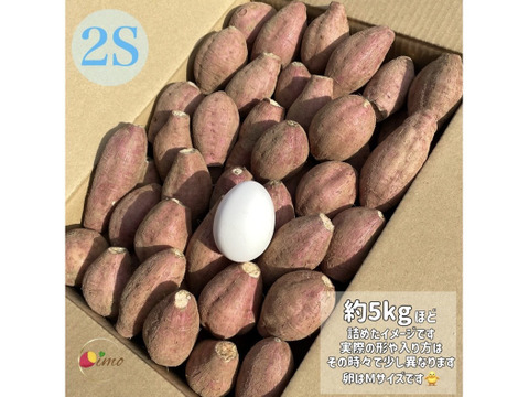 【期間限定】種子島産 新じゃが(S・M・L)＆熟成安納芋(2Sサイズ)｜合計 3kg 旬の味わいセット🍠🥔