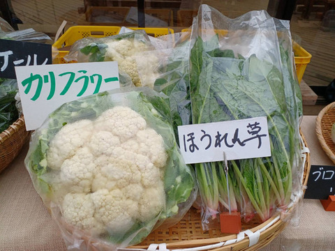 安心・安全な旬のおまかせ野菜セット　７～８種類