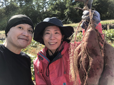 庄内平野の豊かな地下水と海からの潮風香る砂丘地で育てたさつまいも「紅はるか」　食べきりSサイズ 中心