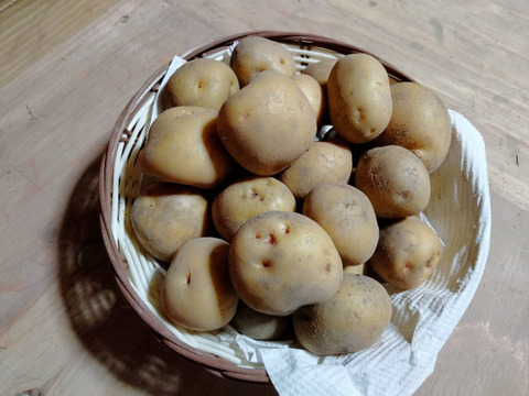 やっちゃん農園の訳ありじゃが芋 Sサイズ（キタアカリ）5キロ