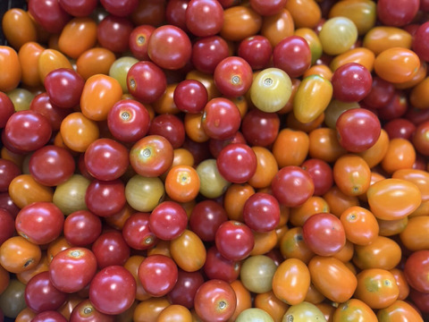 野菜カレーセット☆有機JAS認証☆