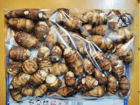 『豊作感謝！20%off！送料込み！』自然栽培の里芋 約1.5kg（石川早生orカラドリ）