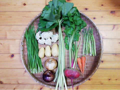 【農薬・化学肥料不使用】【クールで対応】野菜セット【必ずフキ入り】【あく抜き説明書及びレシピ付き】【6~8種類の野菜】【80サイズ箱】