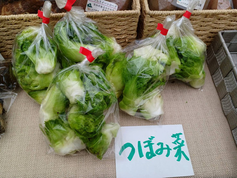 安心・安全な旬のおまかせ野菜セット　７～８種類