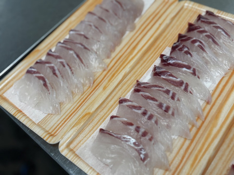 🌸料亭級の一皿をご自宅で🌸旬をそのまま咲かせた天然国産『桜マダイ菊盛り』長州床波ブランドお刺身約150g×2皿【3月下旬予約】