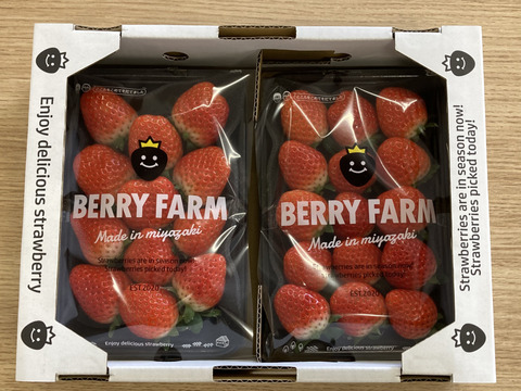 香り豊か！有機いちご「あまおとめ」500g