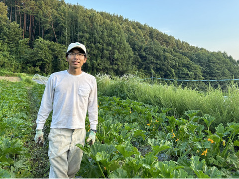 【有機ＪＡＳ】規格外ズッキーニ４ｋｇ農薬・化学肥料不使用　信州産