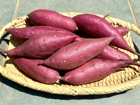 ちびちびサイズでもホックリサラリ‼︎「ゆきこまち」 2キロ箱