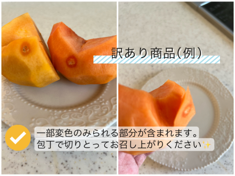 【満天☆青空レストラン出演！】石和の富有柿（種なし・ご家庭用・7.5Kg）