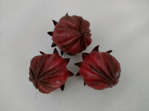 ローゼル700g(農薬化学肥料不使用)