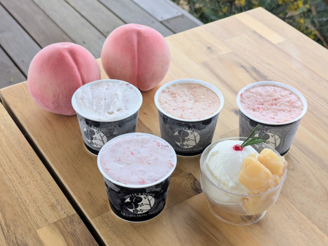 【母の日ギフト】おすすめジェラートセレクト　５個入