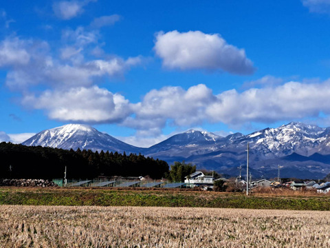 盆休安送込！アスパラ（200g×2袋）化学肥料・除草剤不使用