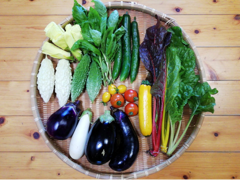 【農薬・化学肥料不使用】花オクラ入り野菜セット【６～８種類の野菜】【食べ方説明書付き】【金曜日クール便で発送】【あわせ買い可】【熨斗(のし)対応可】【８０サイズ箱】