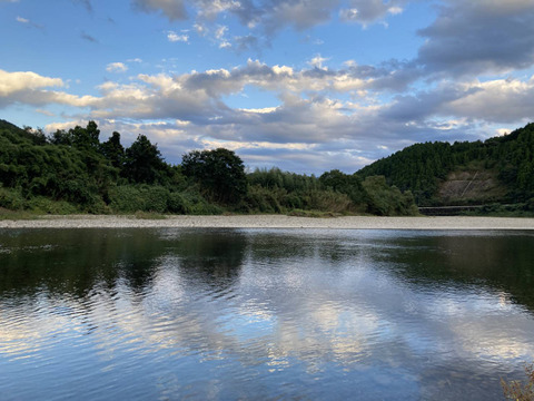 ★平均糖度10.5度！★完熟★名水育ち★究極のフルーツトマト「海部川のしずく」800g(6〜20個)　品種は驚きの桃太郎！