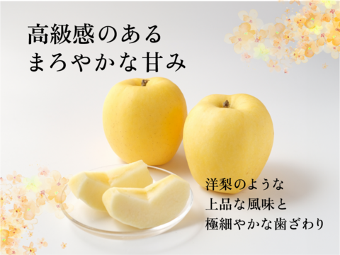 はるか 3キロ箱 6玉〜15玉サイズ  赤いサビ多いです 商品ID37617 長野県 信州 安曇野 リンゴ 幻 幻のリンゴ 予約 希少 旬